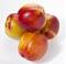 Awatar nectarine01