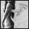 Awatar katia_r