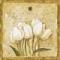 Awatar BialeTulipany