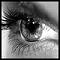 Awatar silent_enigma