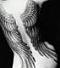 Awatar MidnightAngel
