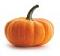 Awatar Cucurbita