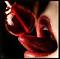 Awatar Malinowy_lizak