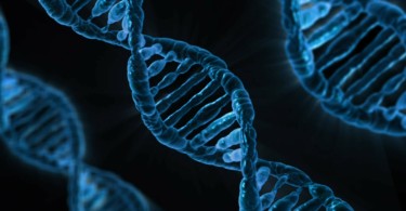 dna-163466_1280