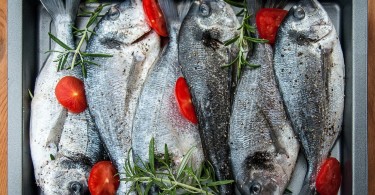 gilthead-426581_1280 (2)