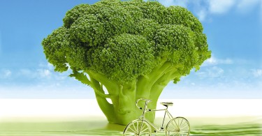 vegetables-694304_1280