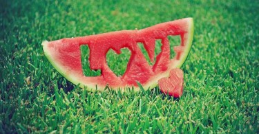 arbuz_trawa_love