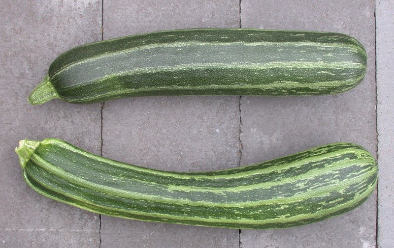 cukinia