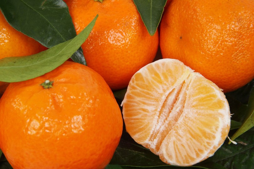 citrus-2394_1280